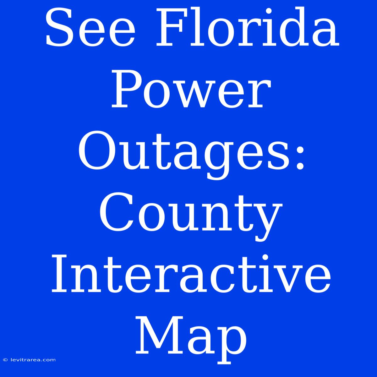 See Florida Power Outages: County Interactive Map