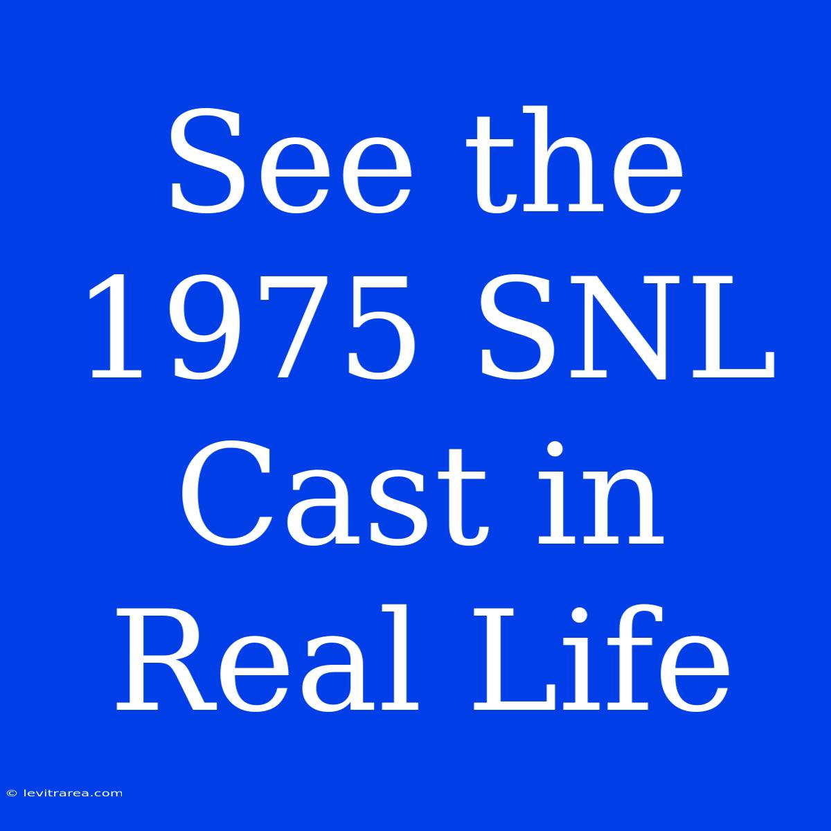 See The 1975 SNL Cast In Real Life