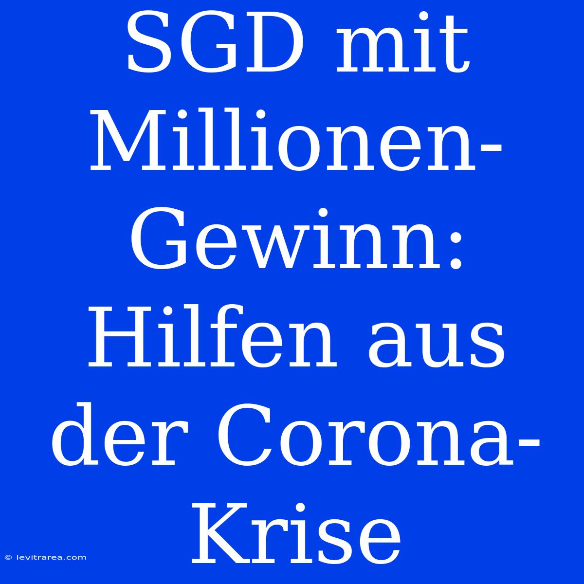 SGD Mit Millionen-Gewinn: Hilfen Aus Der Corona-Krise