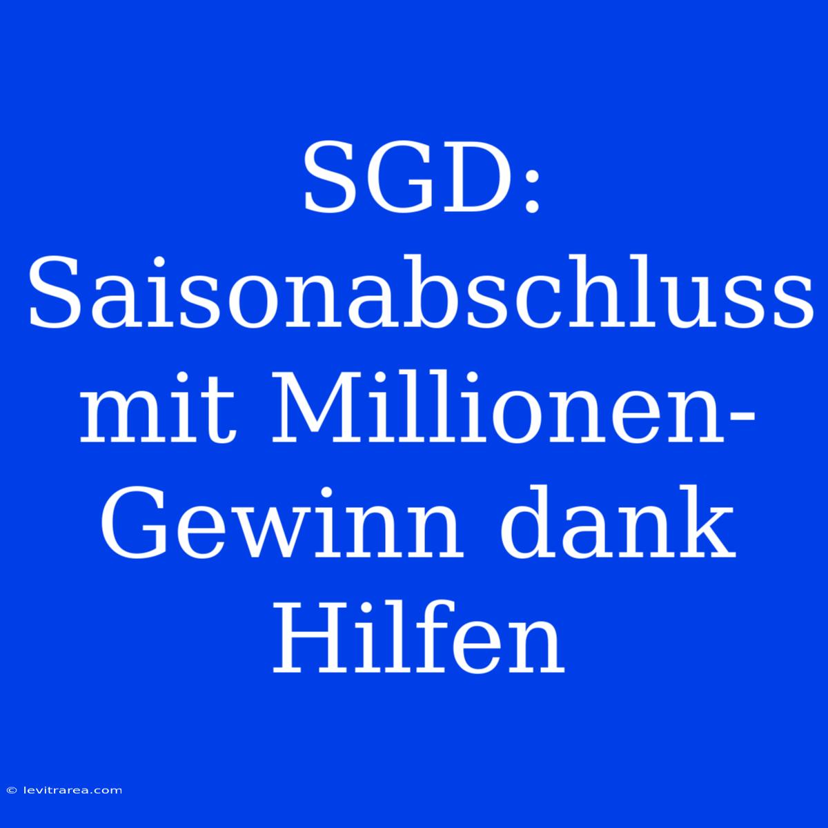 SGD: Saisonabschluss Mit Millionen-Gewinn Dank Hilfen