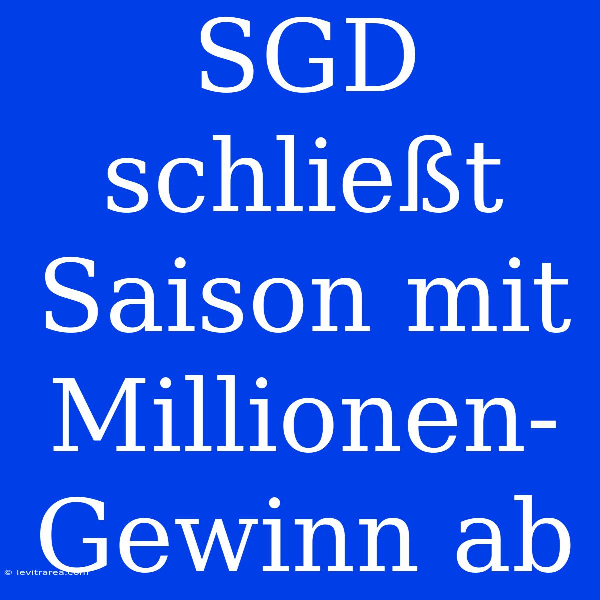 SGD Schließt Saison Mit Millionen-Gewinn Ab