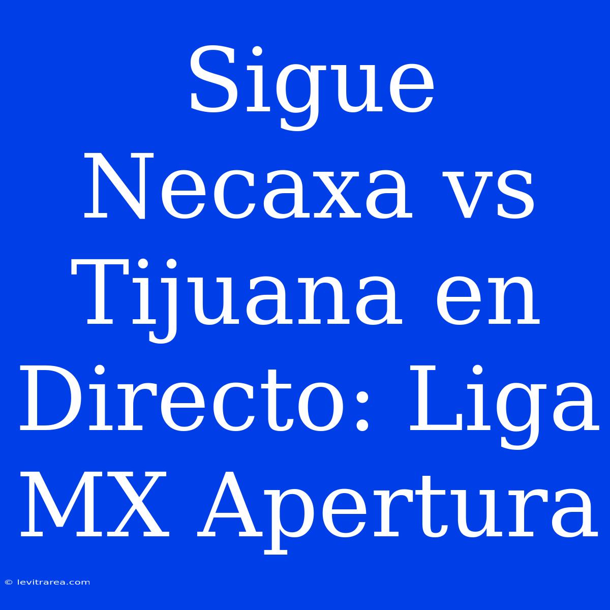 Sigue Necaxa Vs Tijuana En Directo: Liga MX Apertura