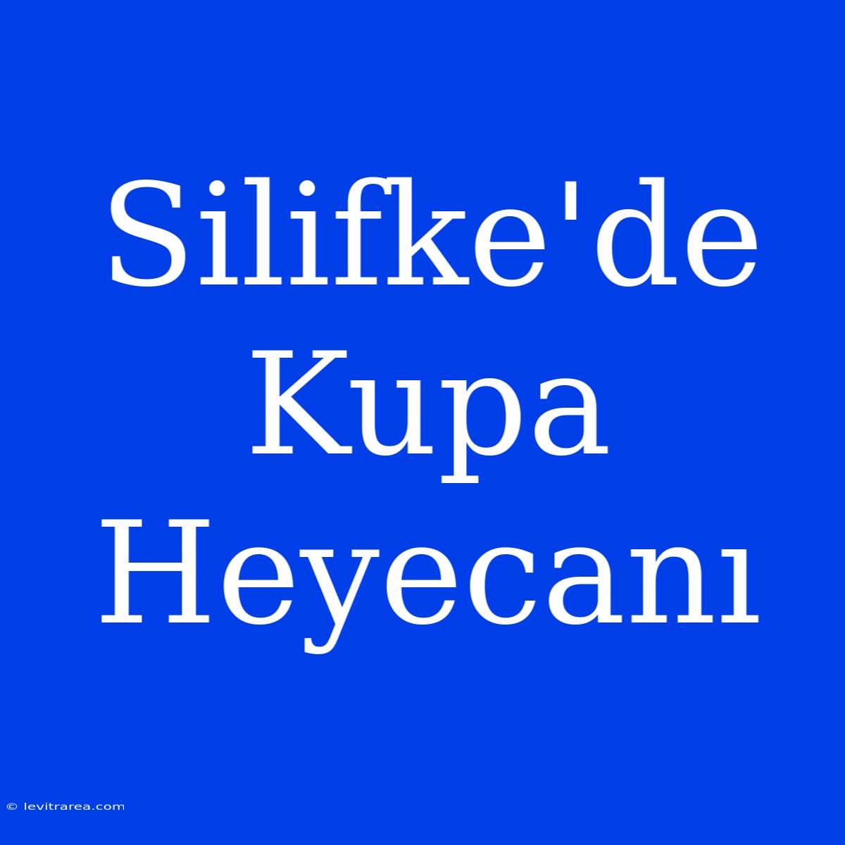 Silifke'de Kupa Heyecanı