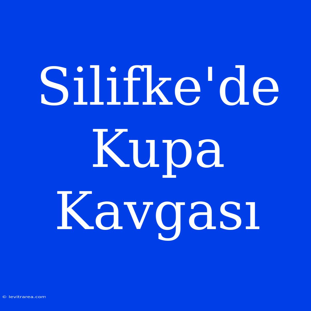 Silifke'de Kupa Kavgası