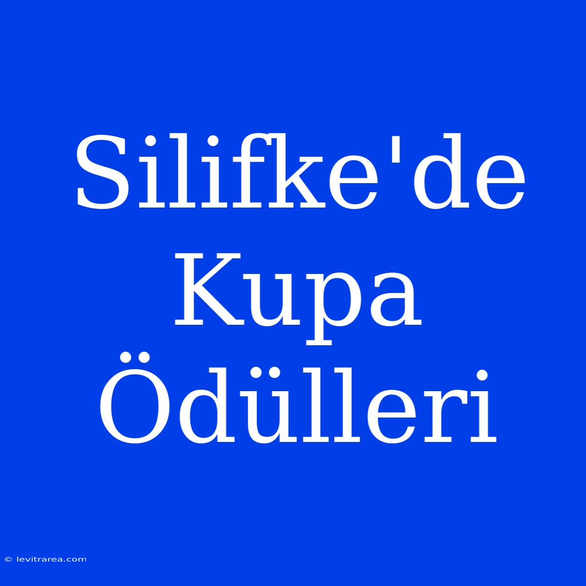 Silifke'de Kupa Ödülleri