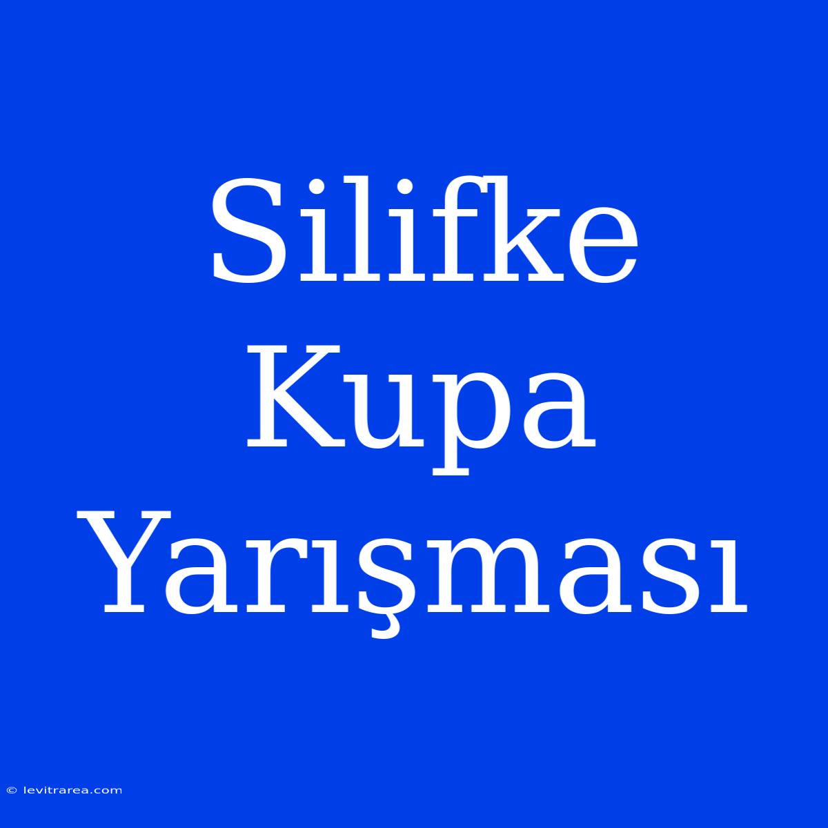 Silifke Kupa Yarışması