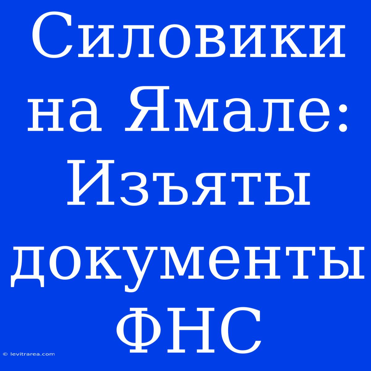 Силовики На Ямале: Изъяты Документы ФНС