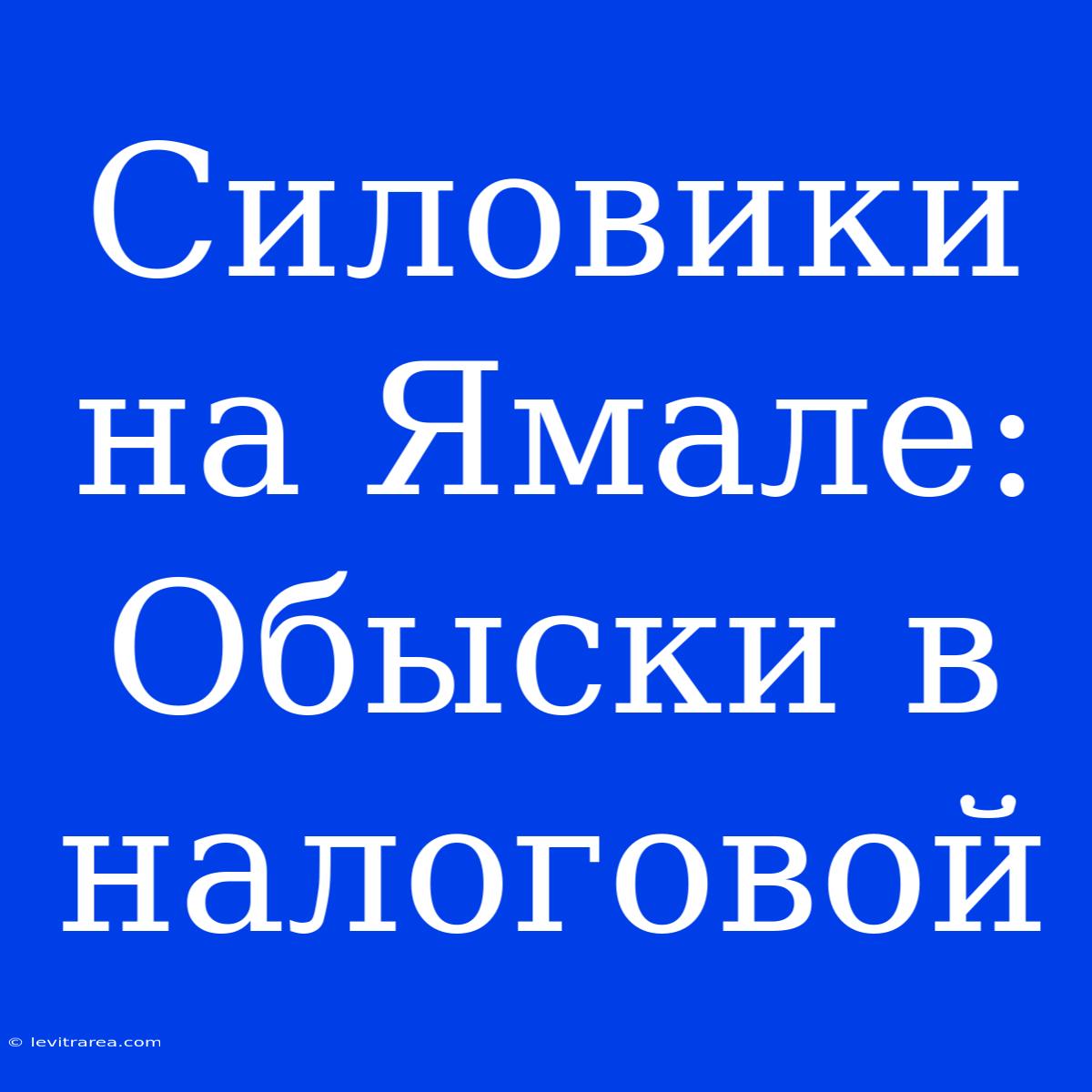 Силовики На Ямале: Обыски В Налоговой 