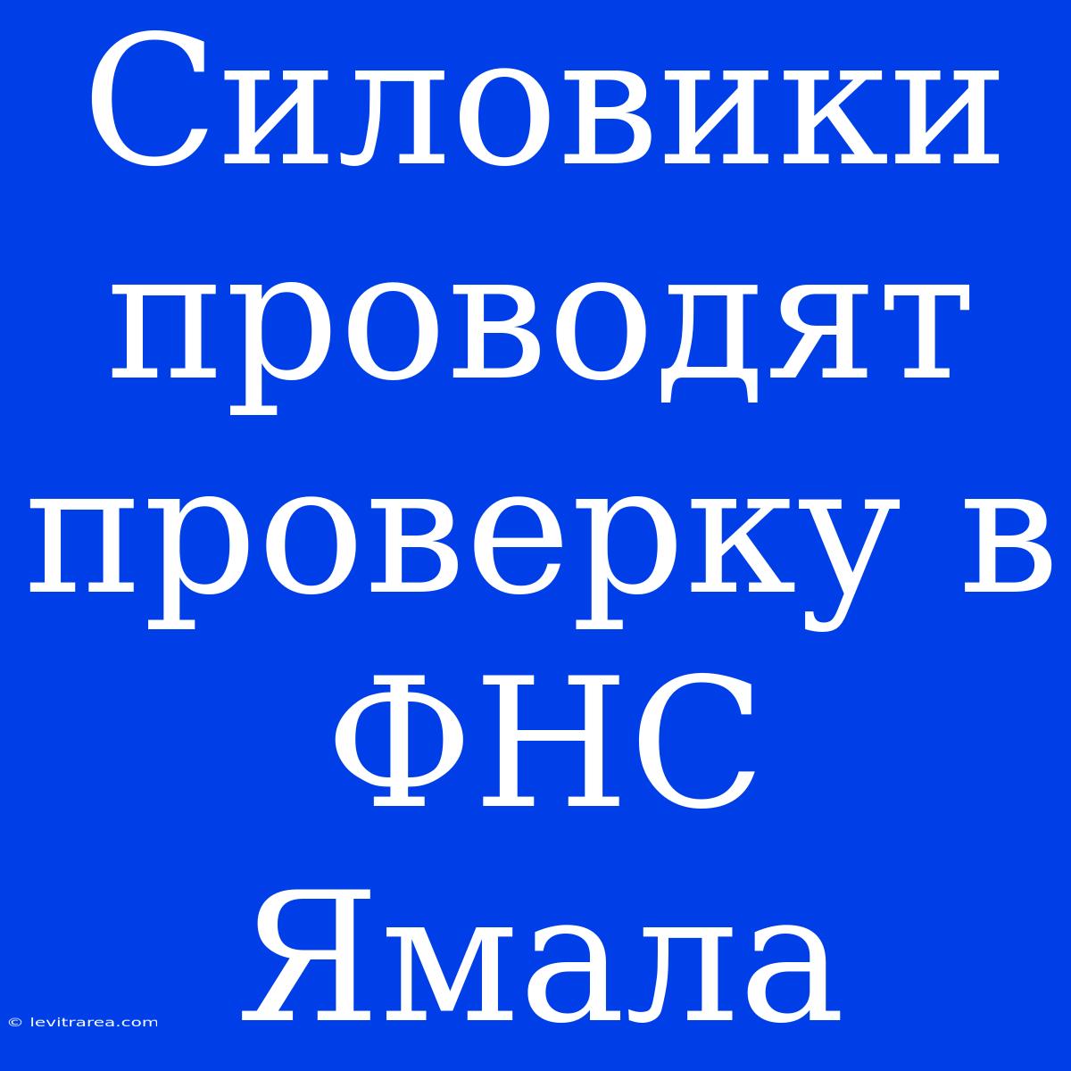 Силовики Проводят Проверку В ФНС Ямала