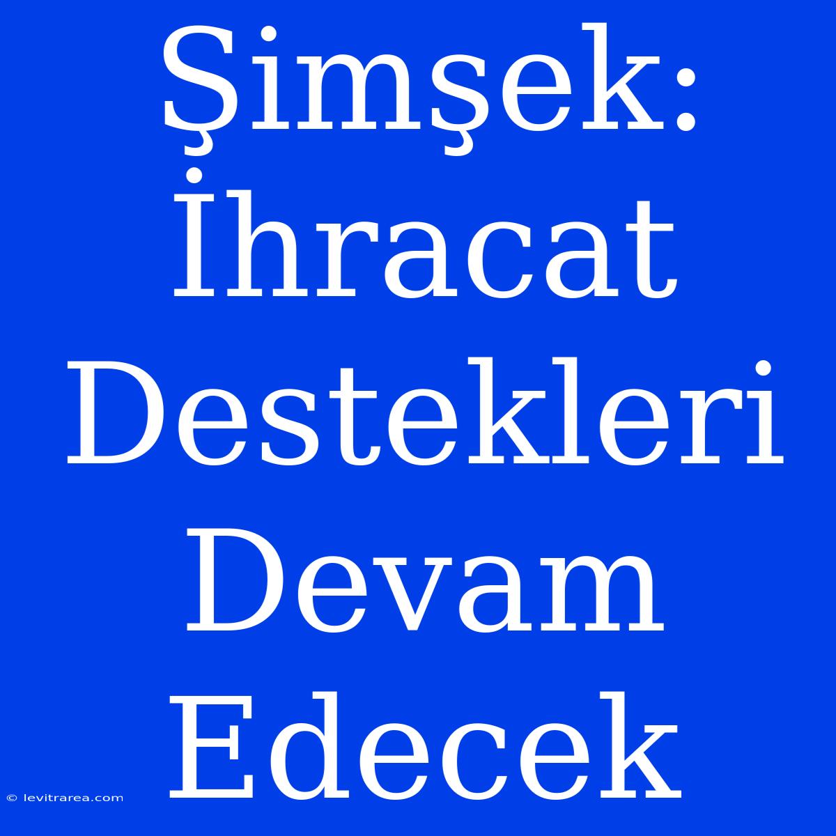 Şimşek: İhracat Destekleri Devam Edecek