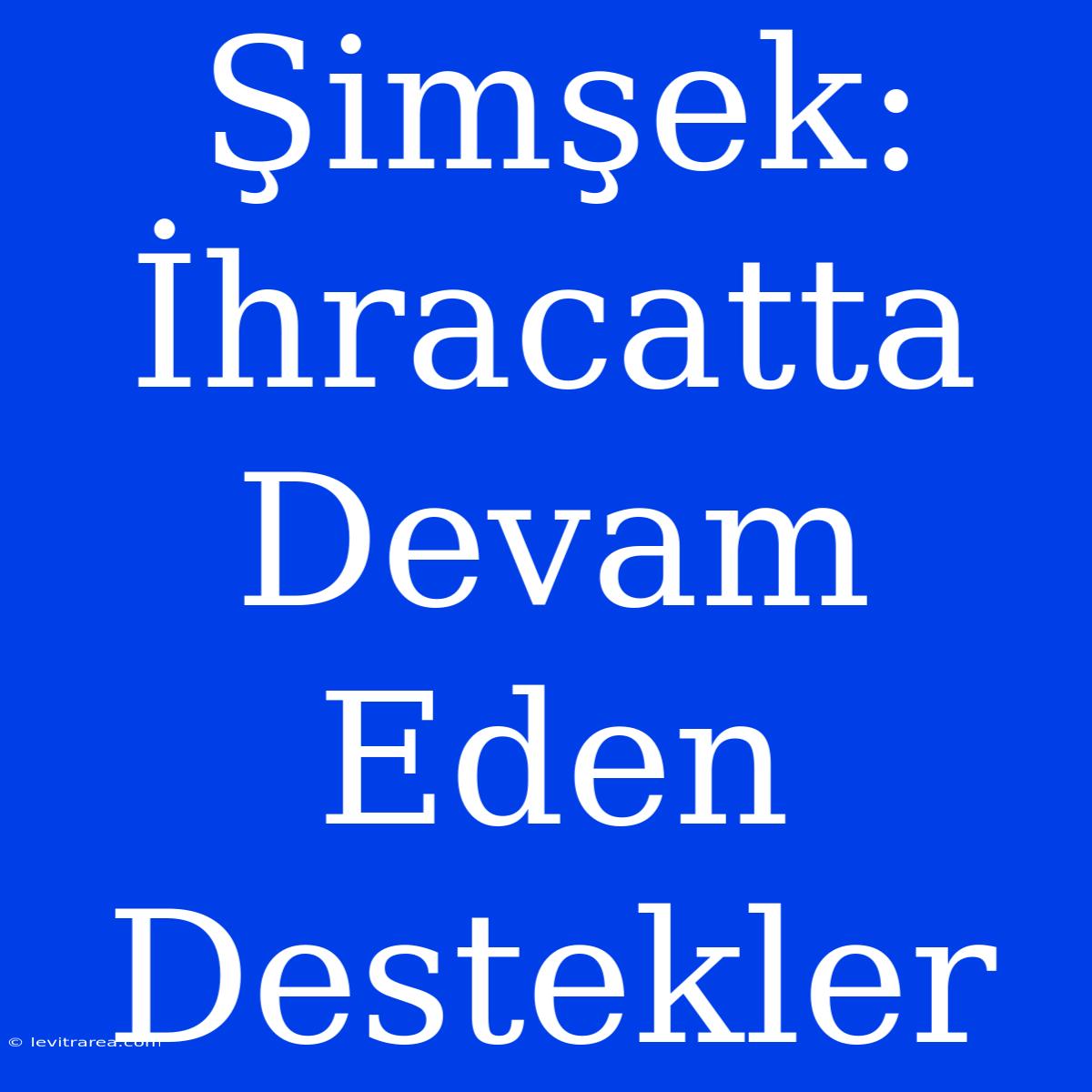 Şimşek: İhracatta Devam Eden Destekler