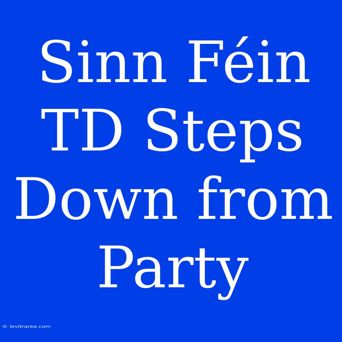 Sinn Féin TD Steps Down From Party