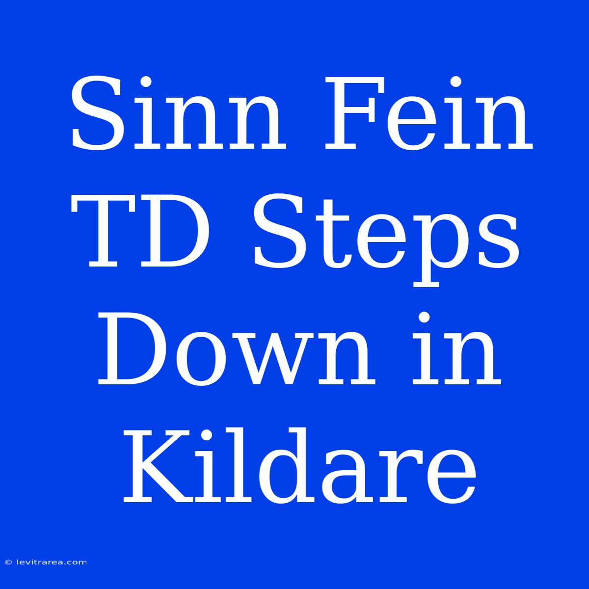 Sinn Fein TD Steps Down In Kildare