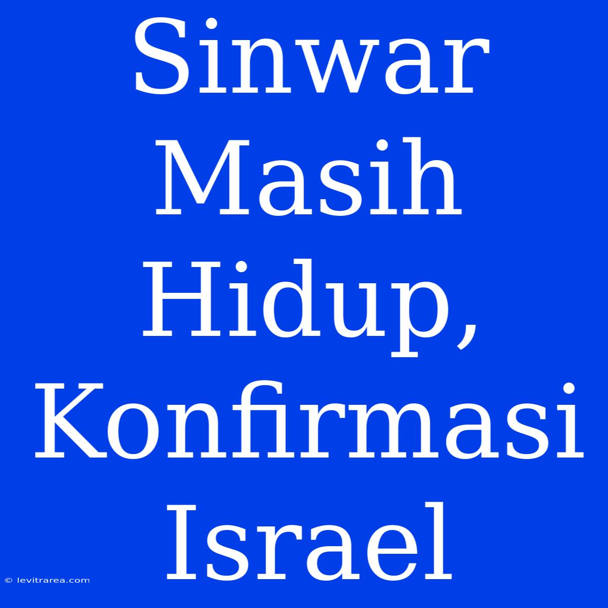 Sinwar Masih Hidup, Konfirmasi Israel