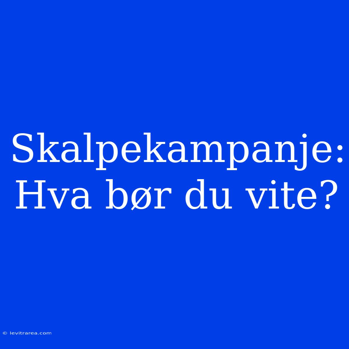 Skalpekampanje: Hva Bør Du Vite?