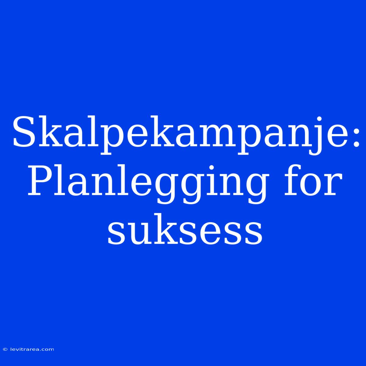 Skalpekampanje: Planlegging For Suksess