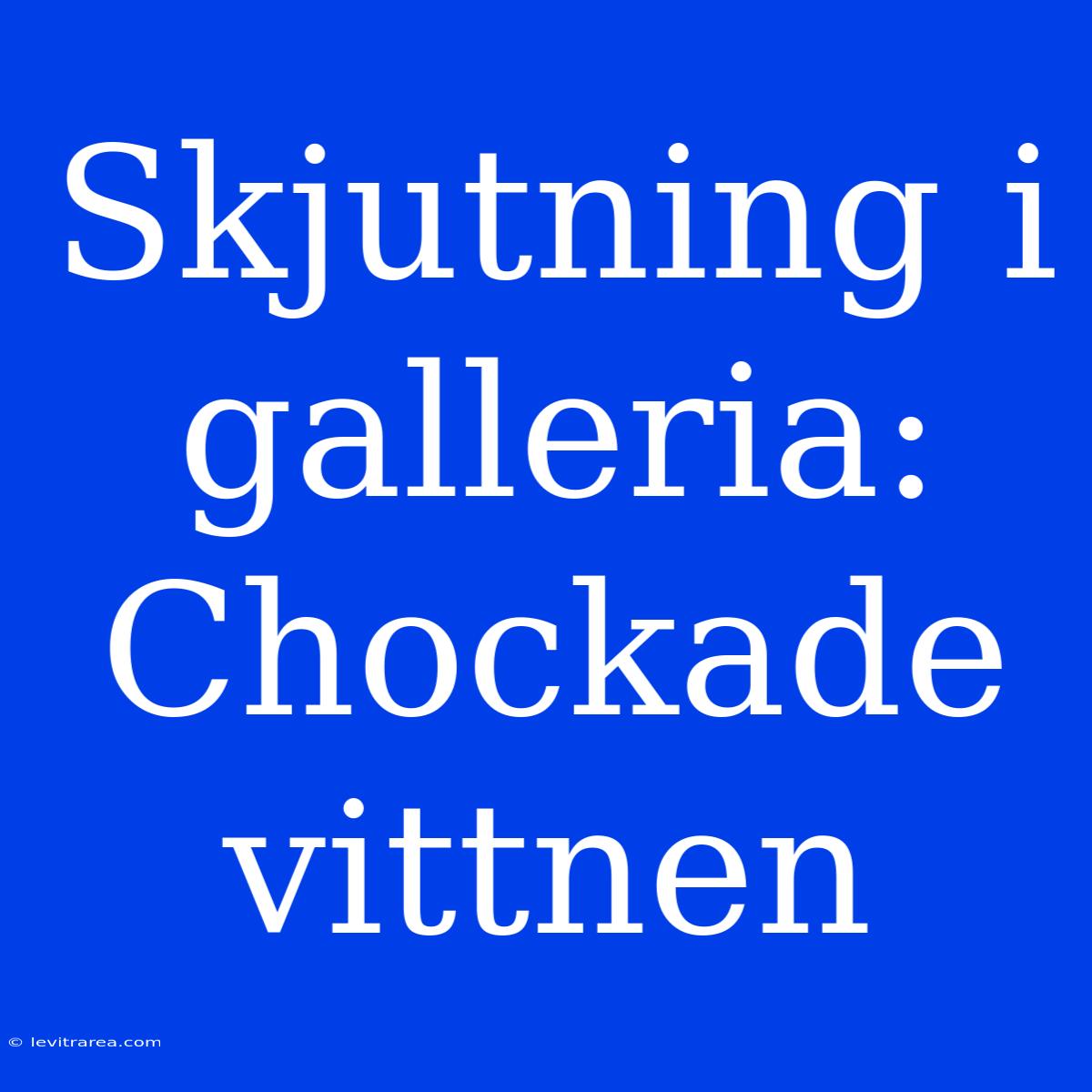 Skjutning I Galleria: Chockade Vittnen