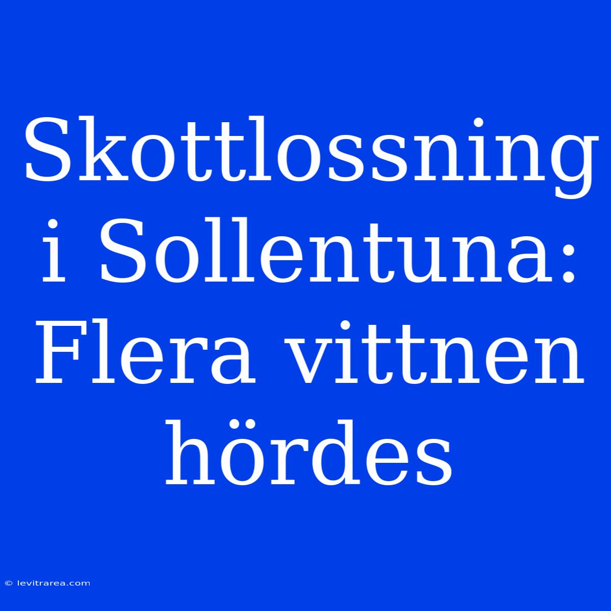 Skottlossning I Sollentuna: Flera Vittnen Hördes