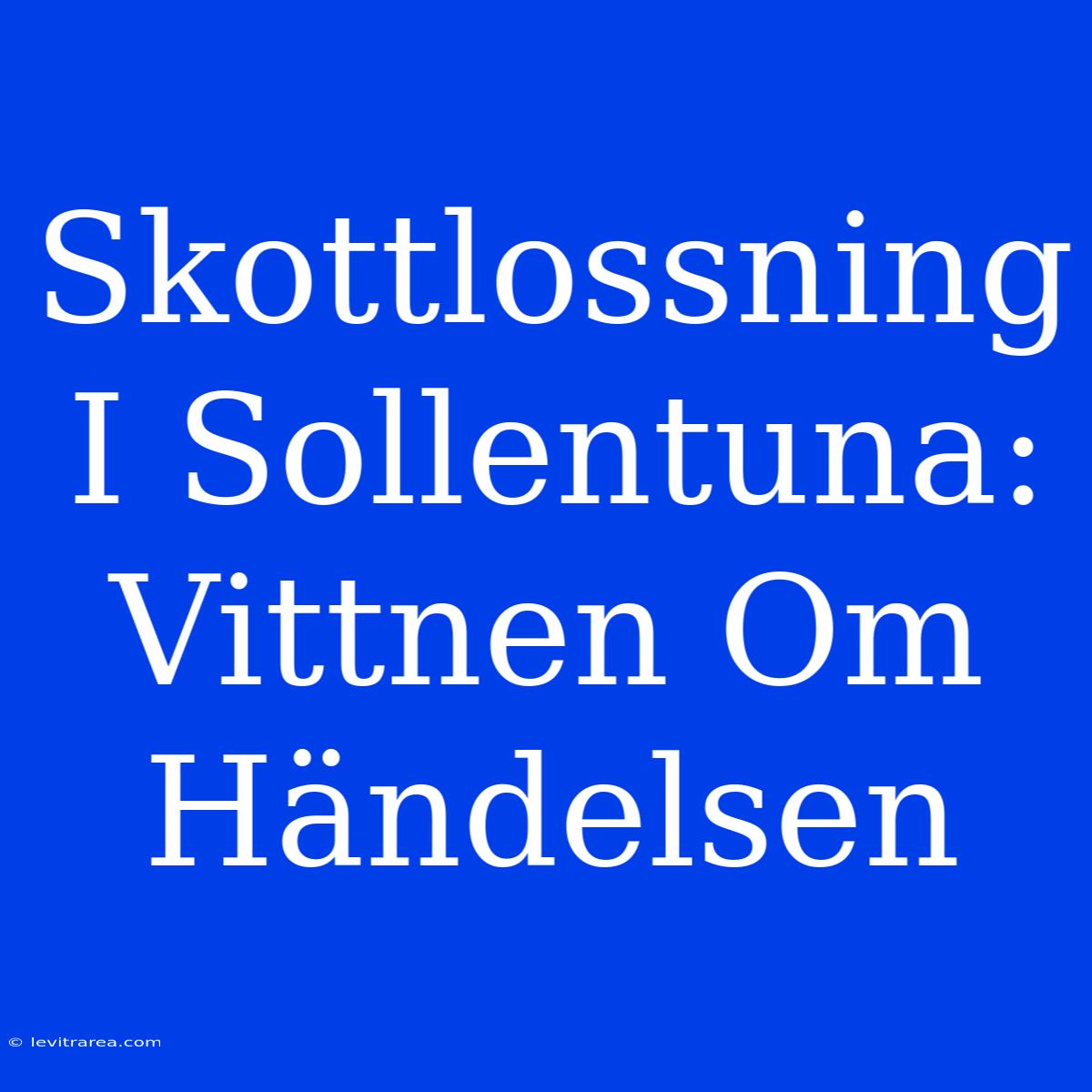 Skottlossning I Sollentuna: Vittnen Om Händelsen