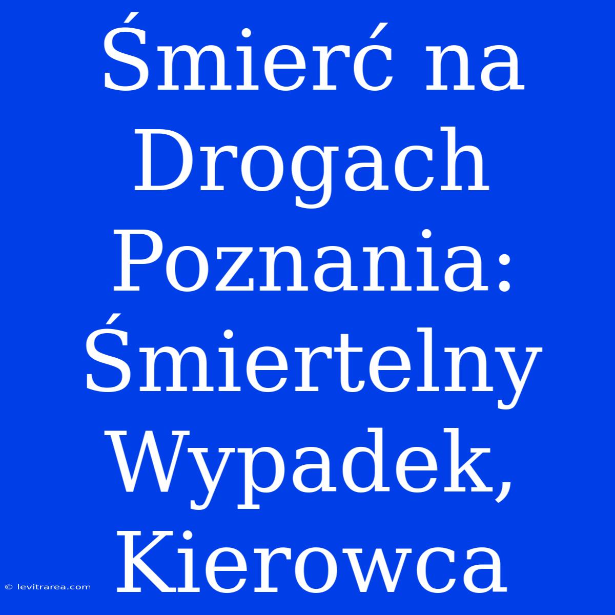 Śmierć Na Drogach Poznania: Śmiertelny Wypadek, Kierowca