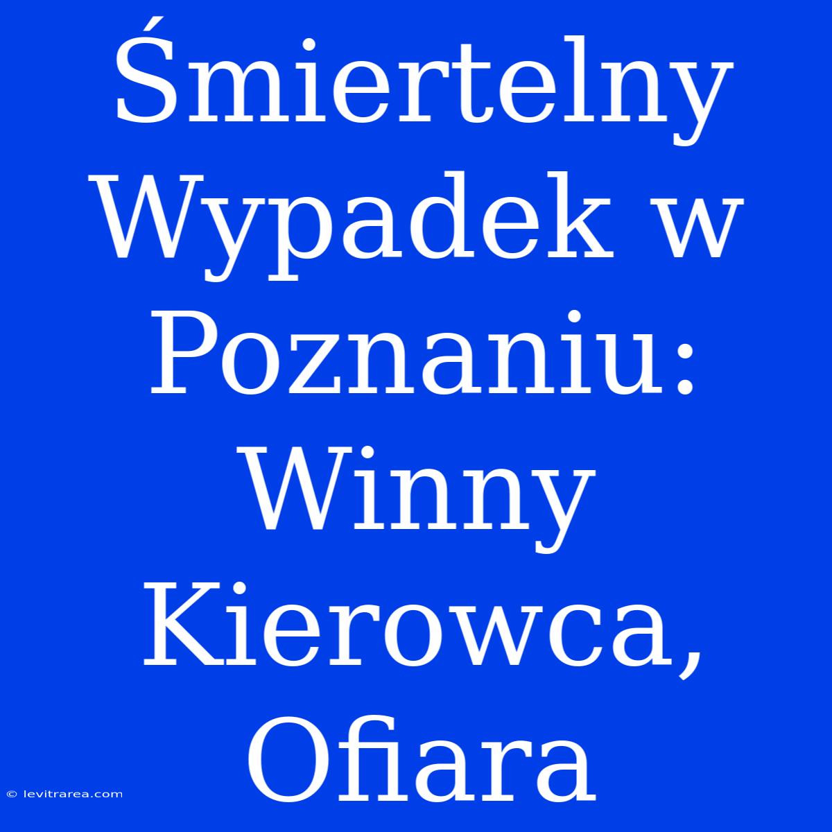 Śmiertelny Wypadek W Poznaniu: Winny Kierowca, Ofiara