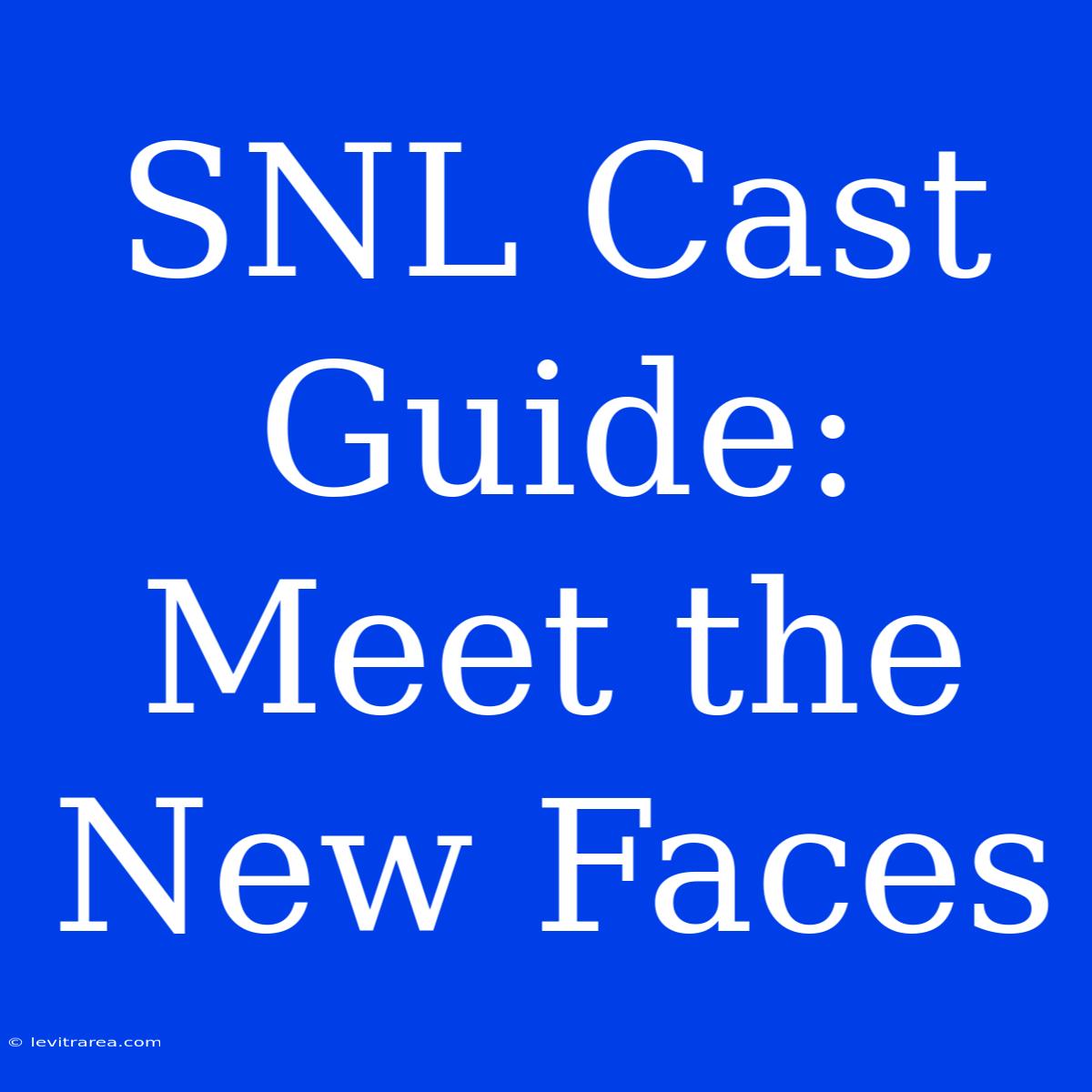 SNL Cast Guide: Meet The New Faces