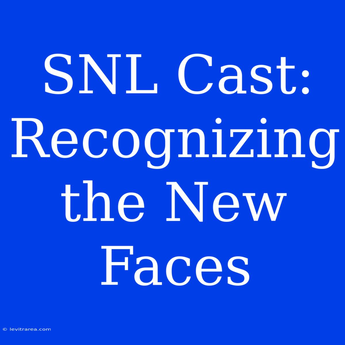 SNL Cast: Recognizing The New Faces