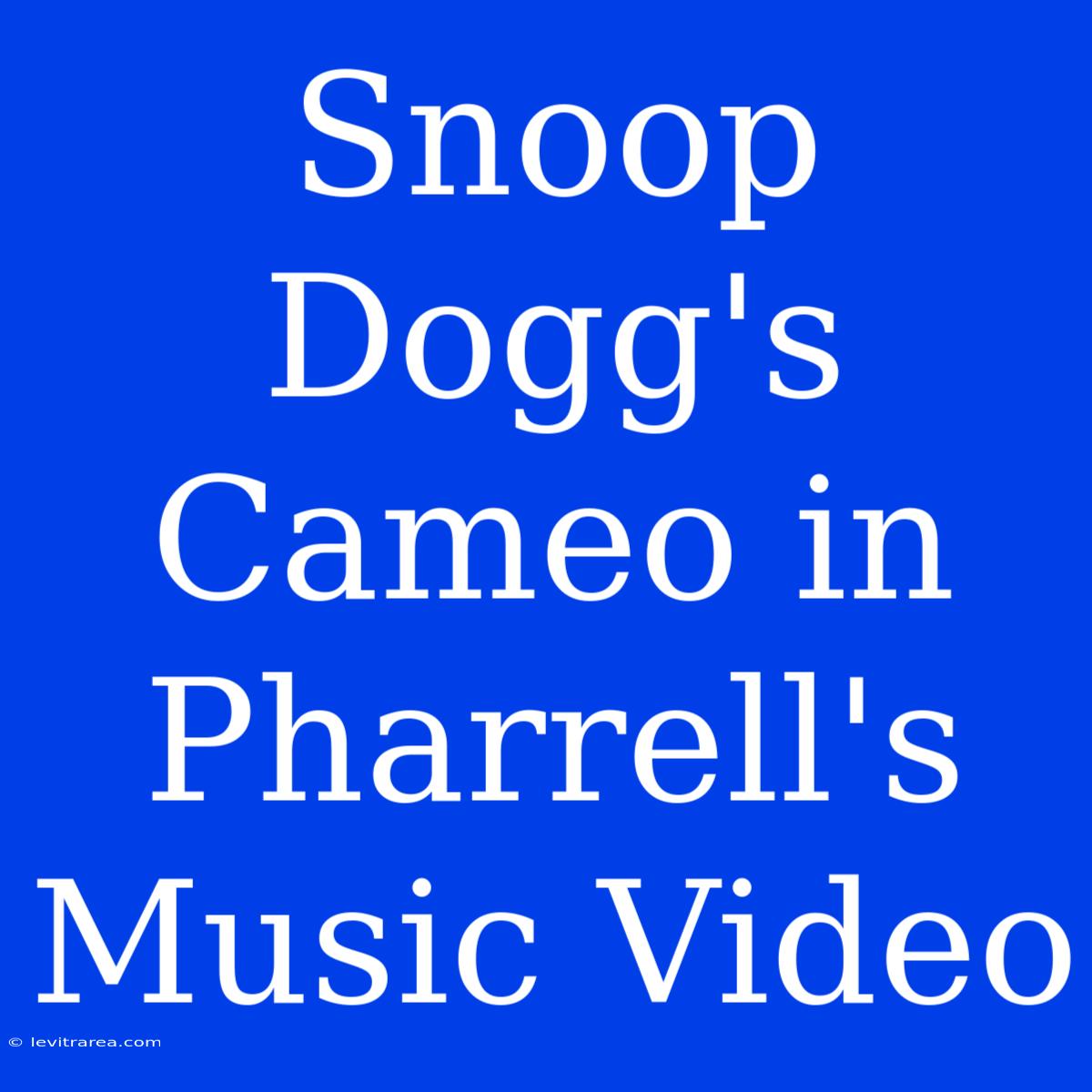 Snoop Dogg's Cameo In Pharrell's Music Video