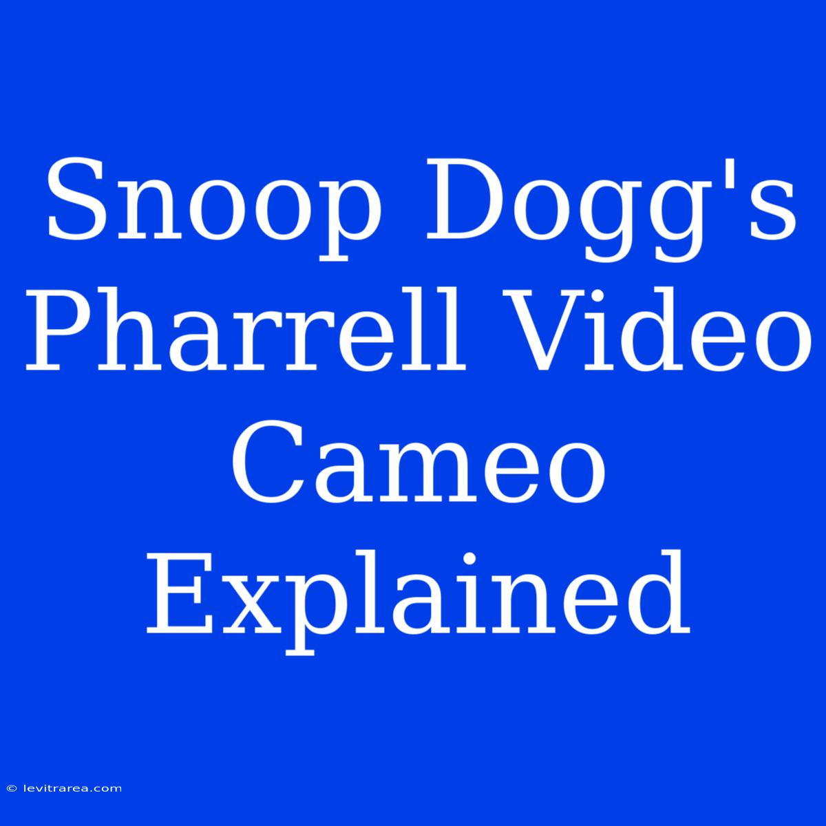 Snoop Dogg's Pharrell Video Cameo Explained