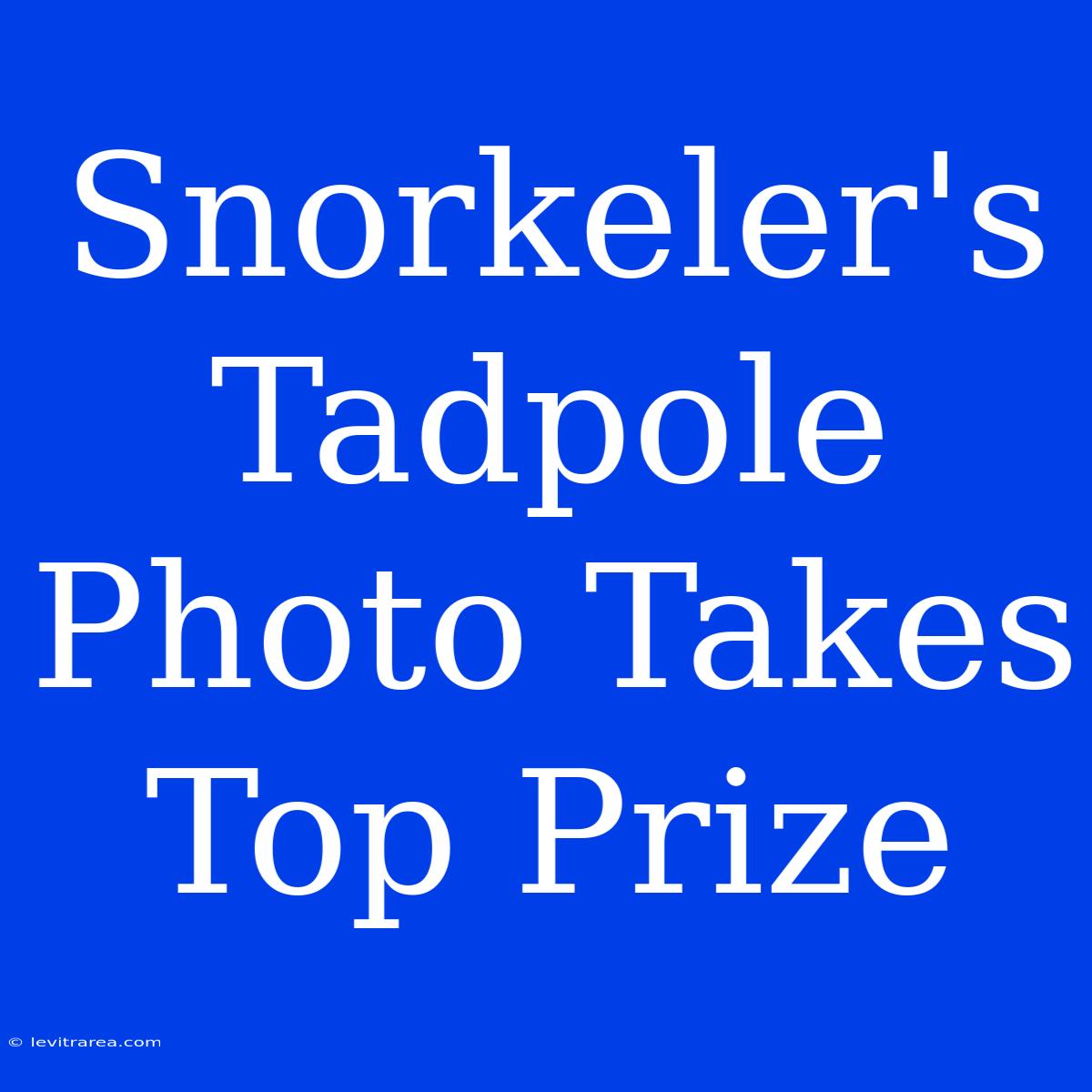 Snorkeler's Tadpole Photo Takes Top Prize