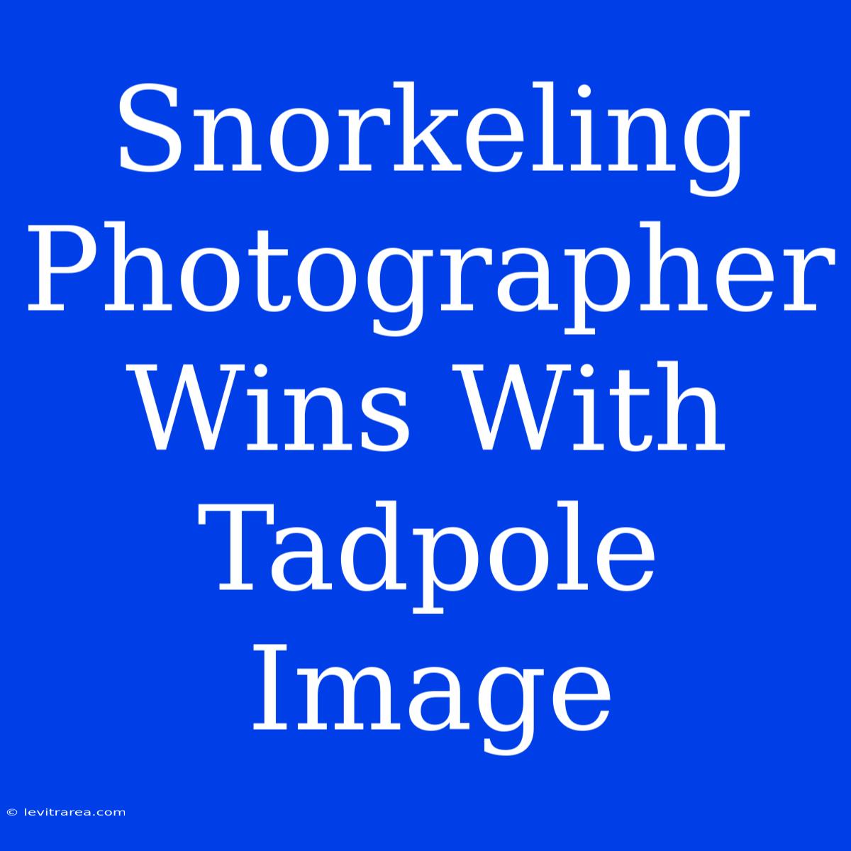 Snorkeling Photographer Wins With Tadpole Image