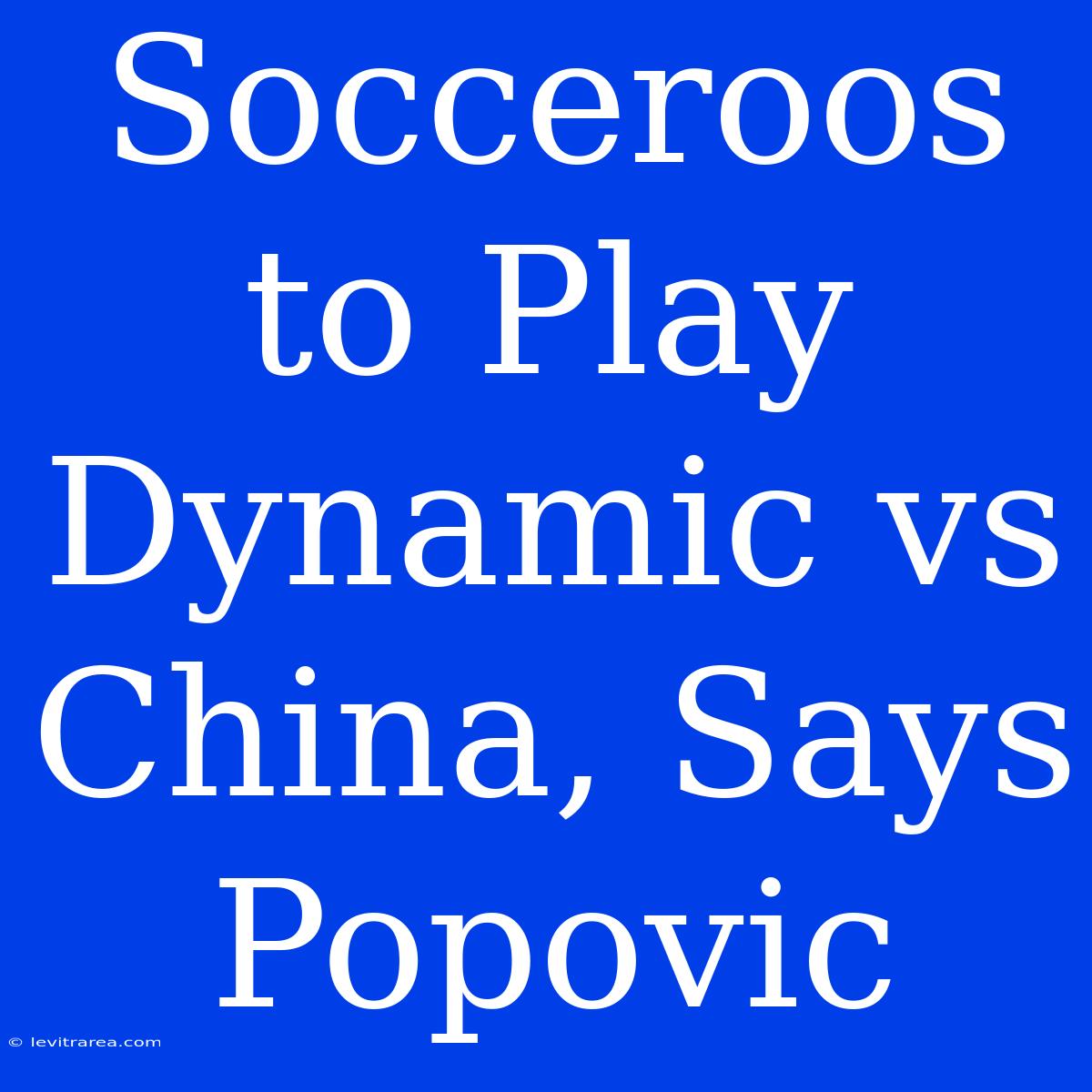 Socceroos To Play Dynamic Vs China, Says Popovic