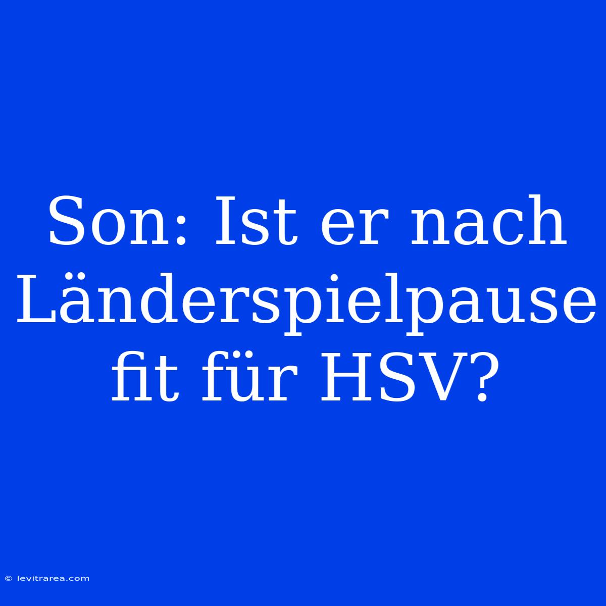 Son: Ist Er Nach Länderspielpause Fit Für HSV?