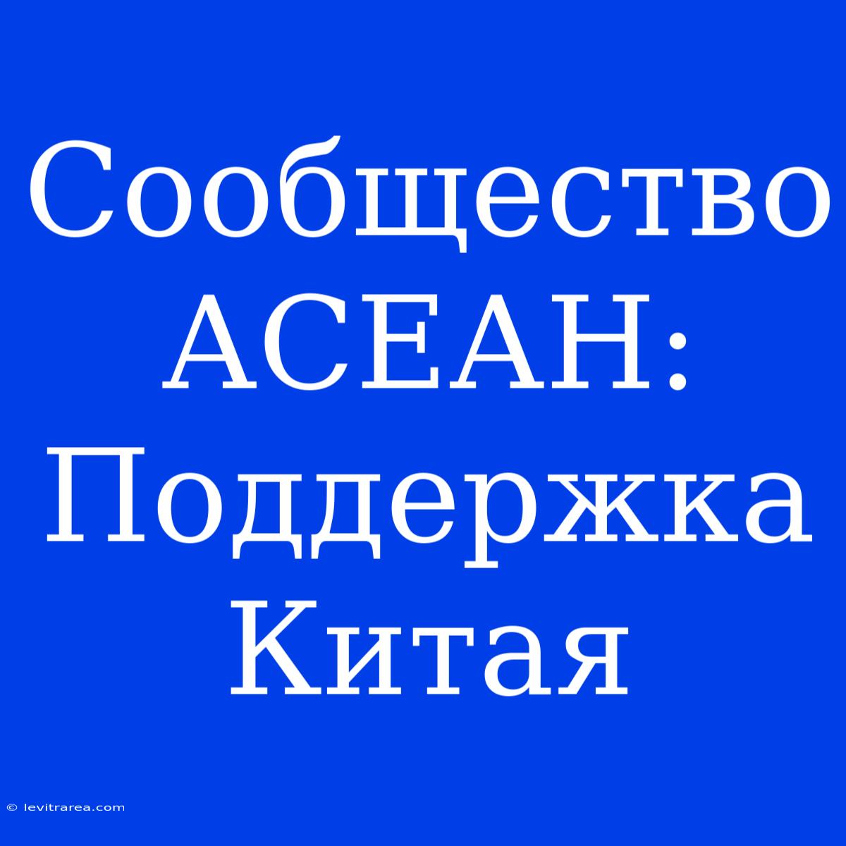 Сообщество АСЕАН: Поддержка Китая