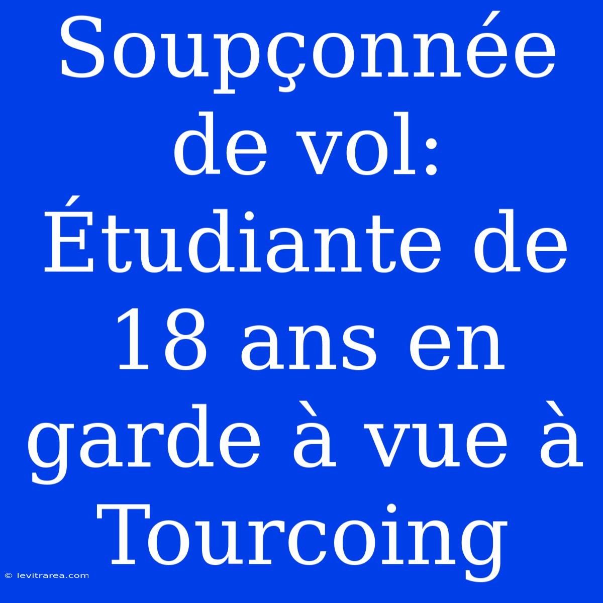 Soupçonnée De Vol: Étudiante De 18 Ans En Garde À Vue À Tourcoing