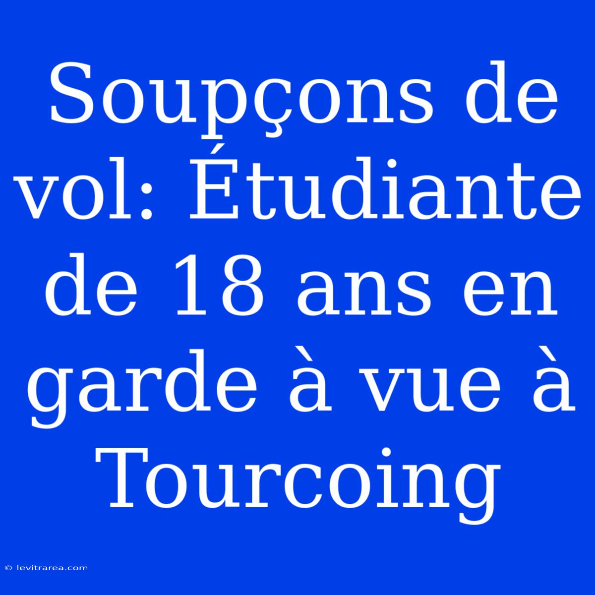 Soupçons De Vol: Étudiante De 18 Ans En Garde À Vue À Tourcoing