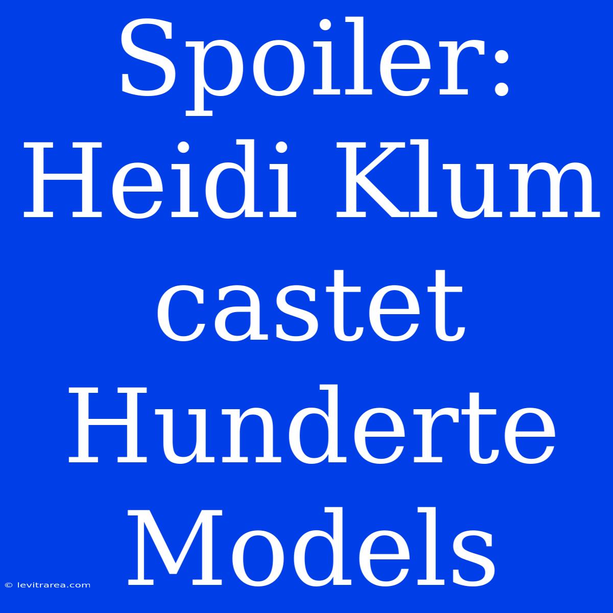 Spoiler: Heidi Klum Castet Hunderte Models