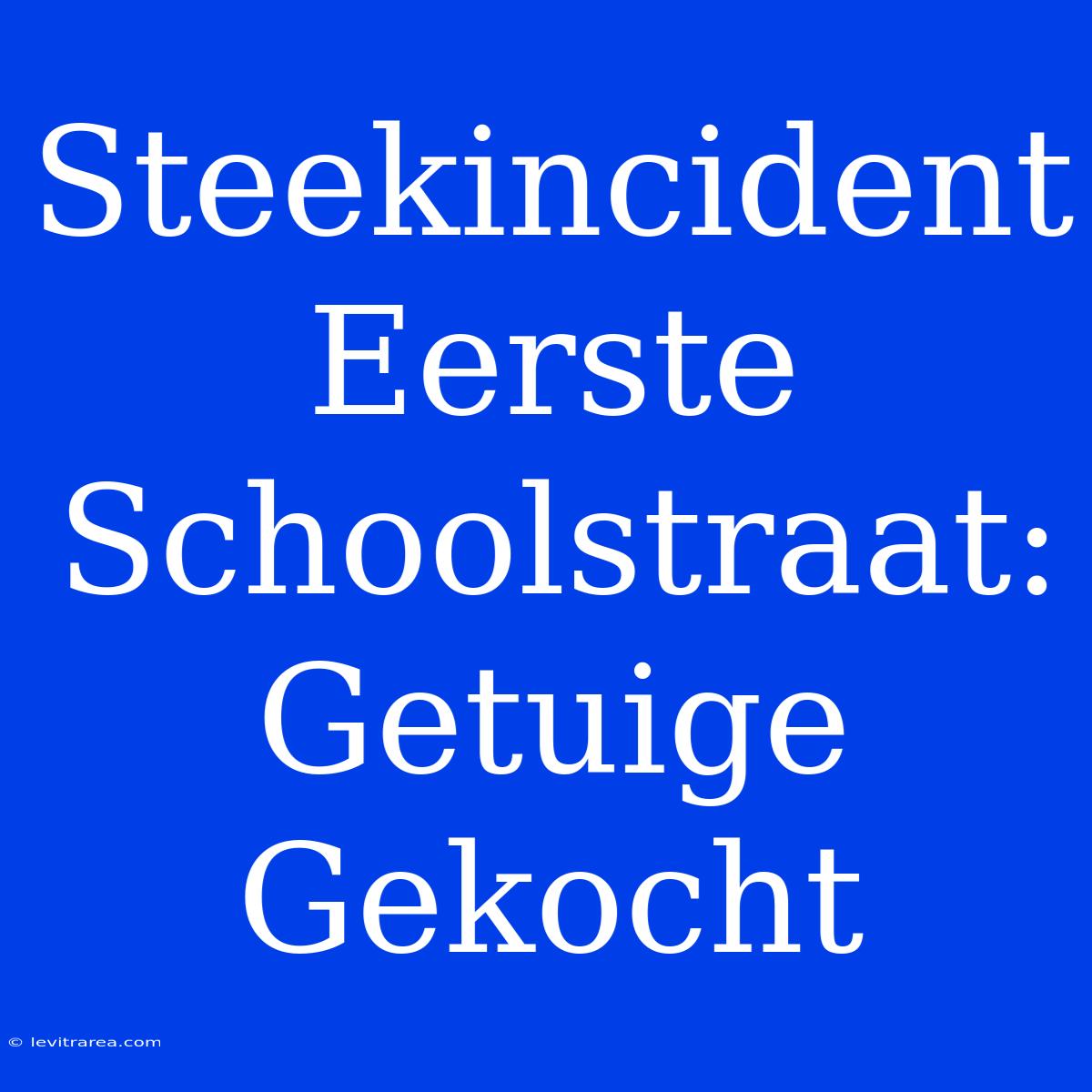 Steekincident Eerste Schoolstraat: Getuige Gekocht