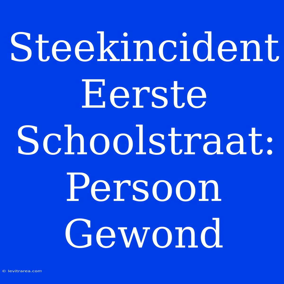 Steekincident Eerste Schoolstraat: Persoon Gewond