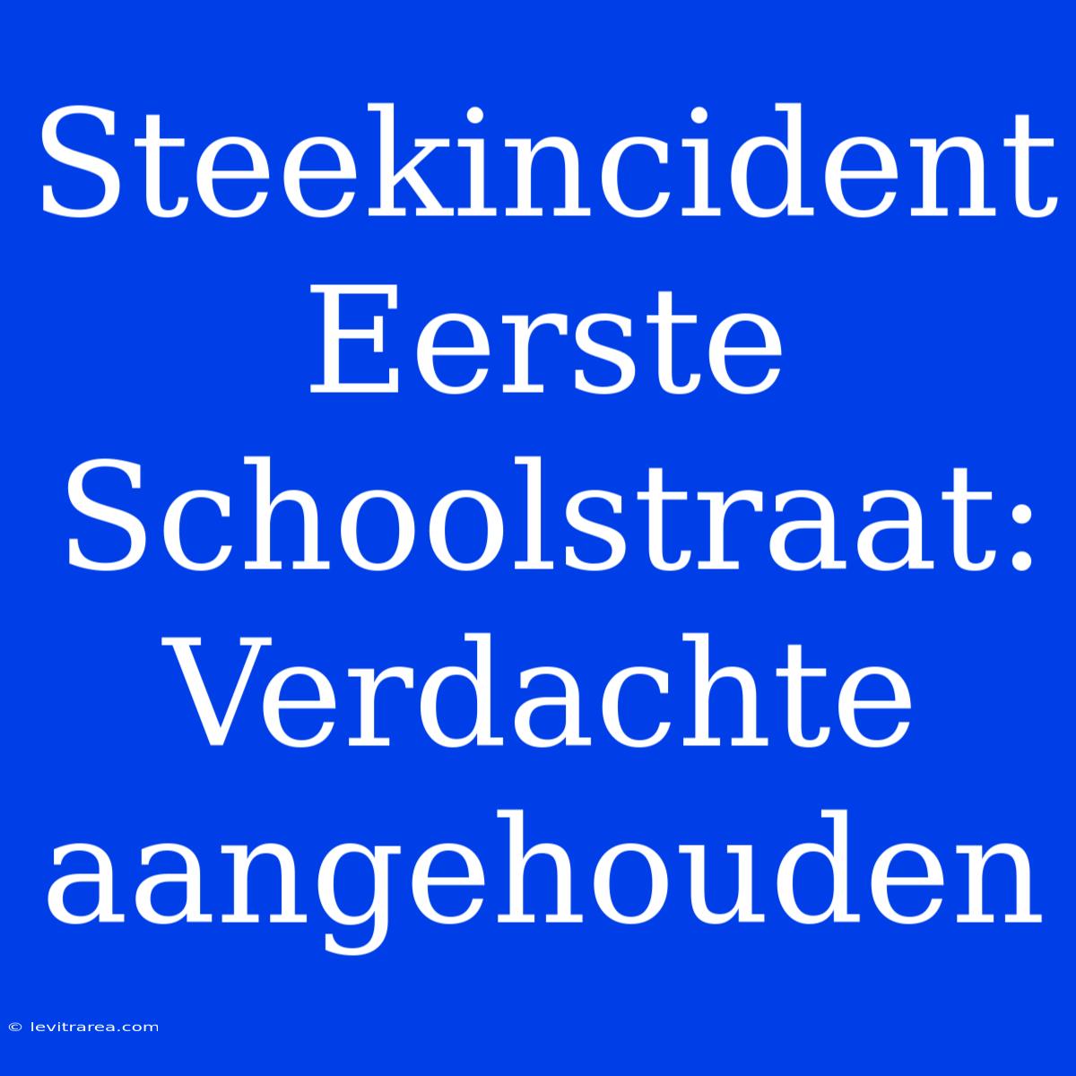 Steekincident Eerste Schoolstraat: Verdachte Aangehouden