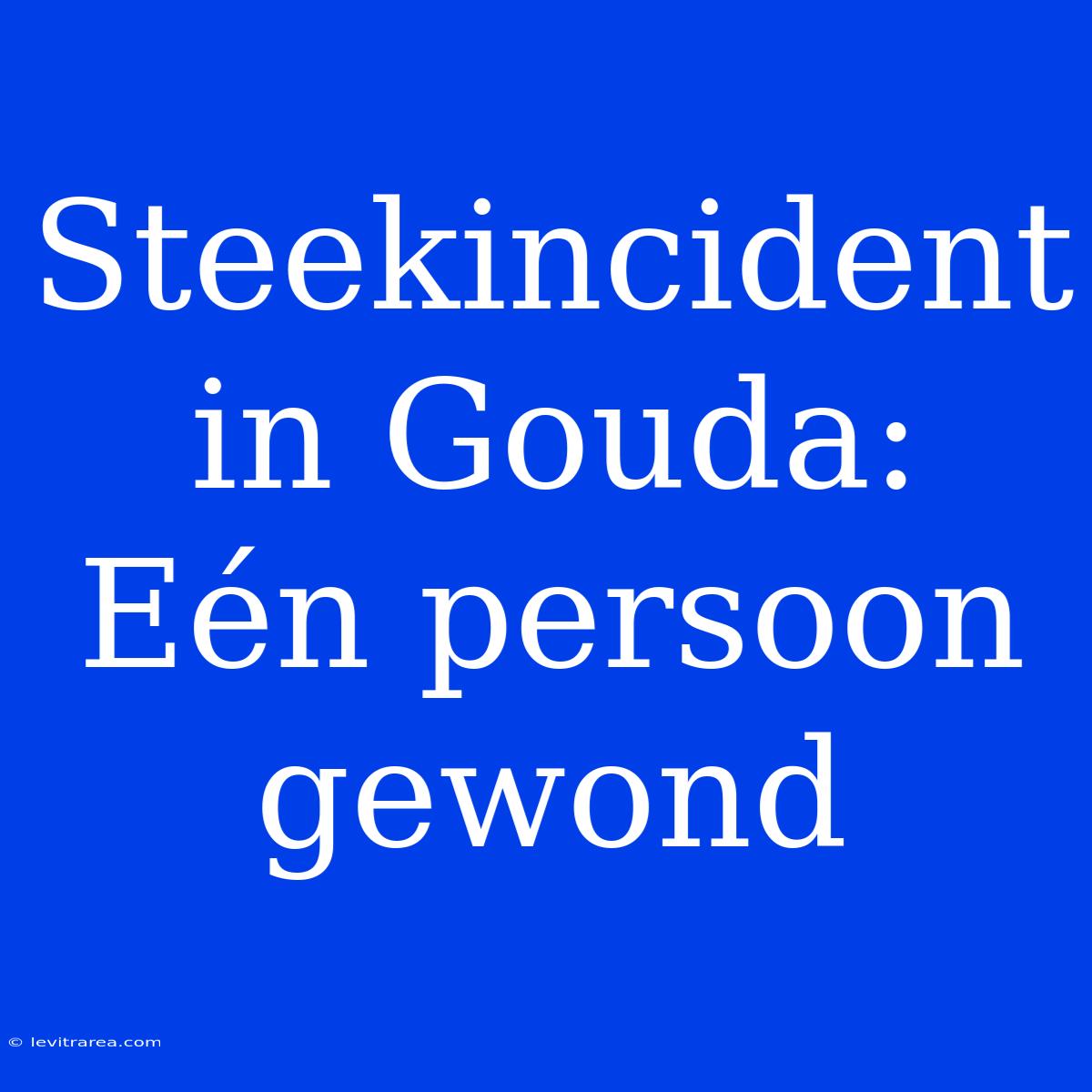 Steekincident In Gouda: Eén Persoon Gewond