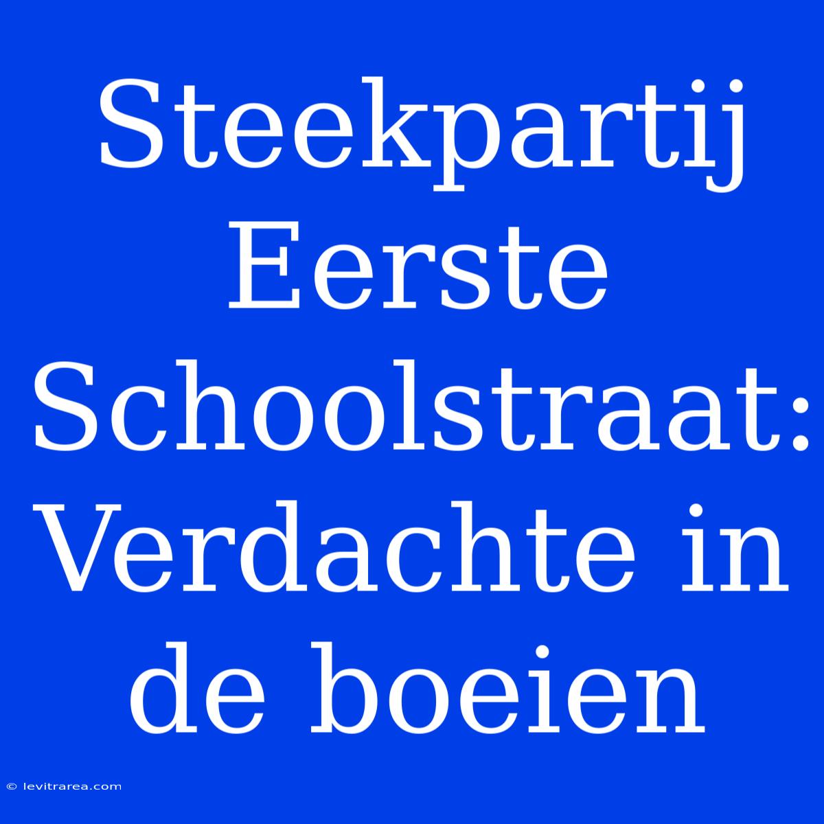 Steekpartij Eerste Schoolstraat: Verdachte In De Boeien