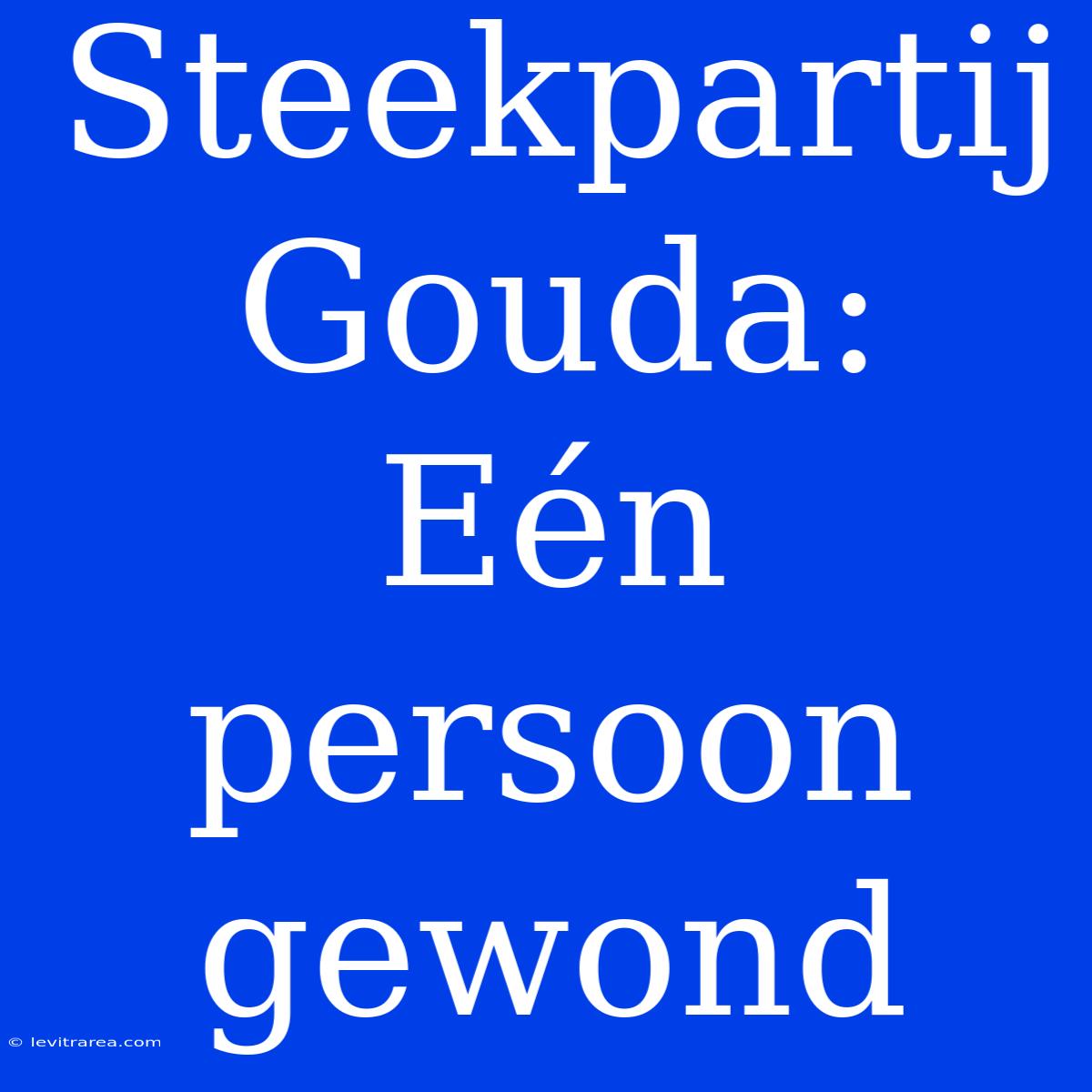 Steekpartij Gouda: Eén Persoon Gewond