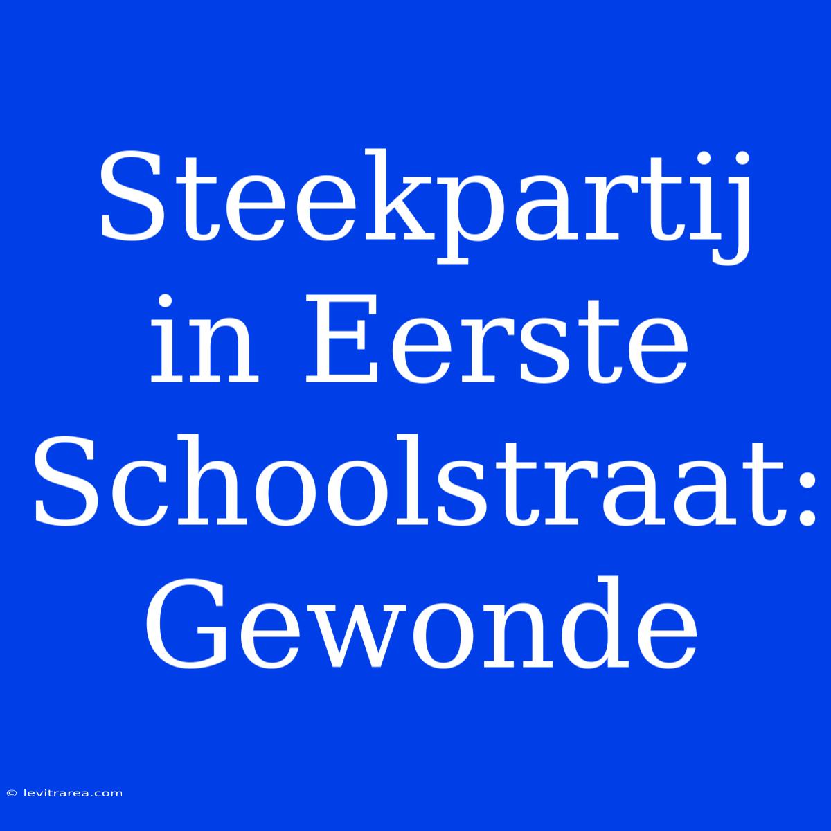 Steekpartij In Eerste Schoolstraat: Gewonde