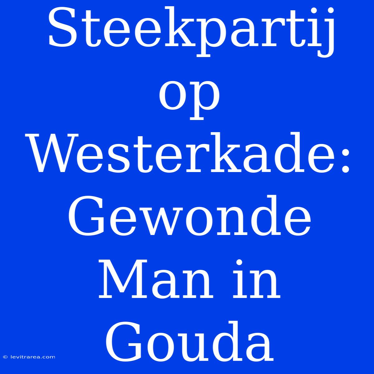 Steekpartij Op Westerkade: Gewonde Man In Gouda 