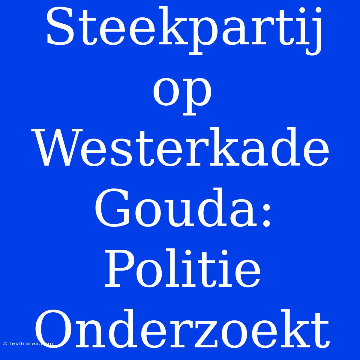 Steekpartij Op Westerkade Gouda: Politie Onderzoekt