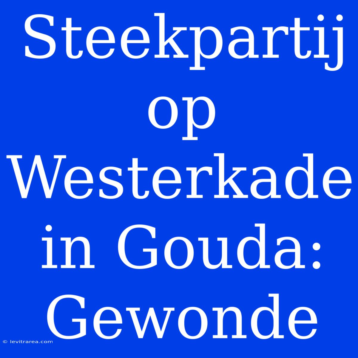 Steekpartij Op Westerkade In Gouda: Gewonde