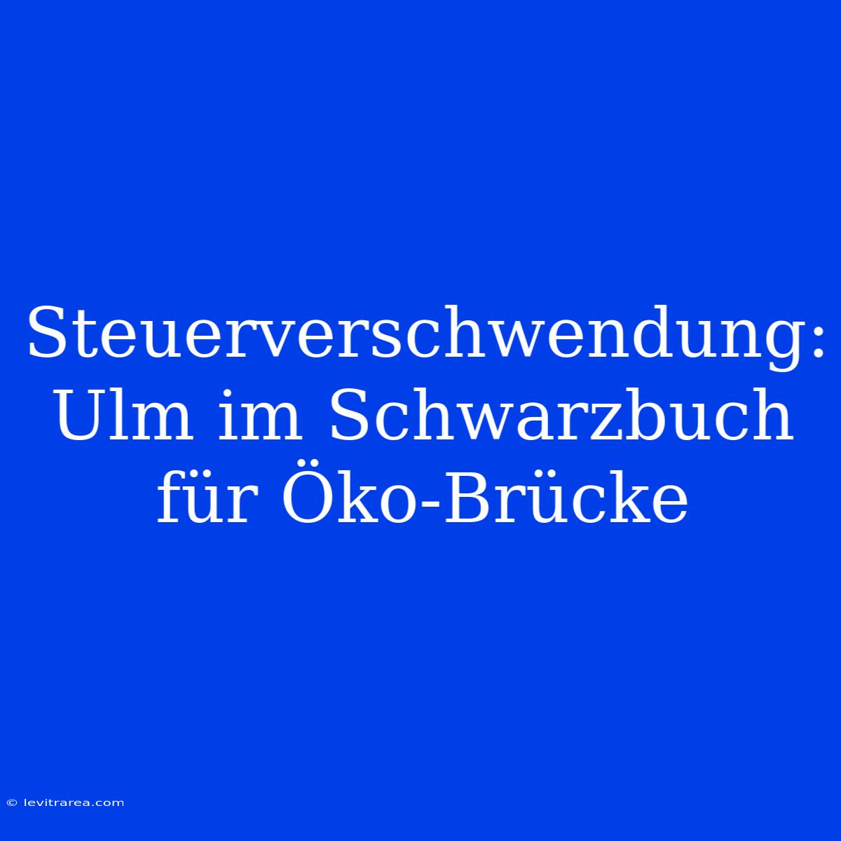 Steuerverschwendung: Ulm Im Schwarzbuch Für Öko-Brücke