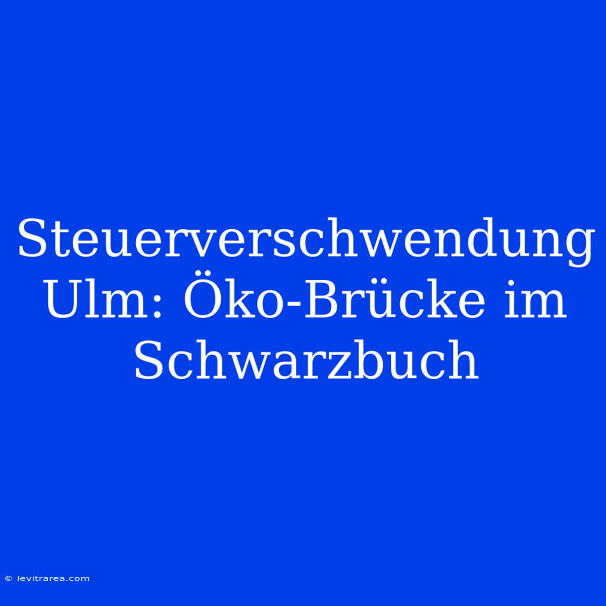 Steuerverschwendung Ulm: Öko-Brücke Im Schwarzbuch