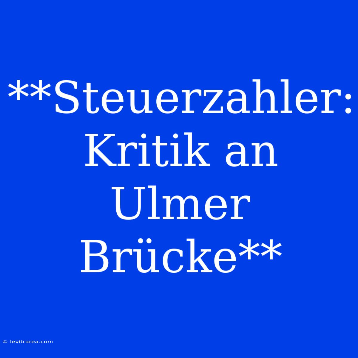 **Steuerzahler: Kritik An Ulmer Brücke** 